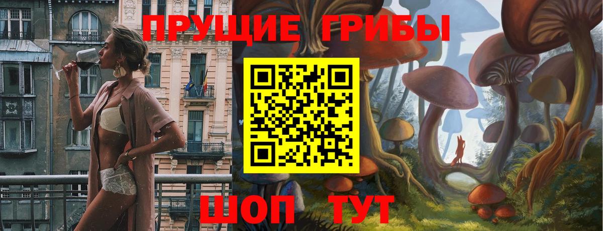 Псилоцибиновые грибы Psilocybe  Псилоцибиновые грибы мицелий  Вход с VPN  Набережные Челны 